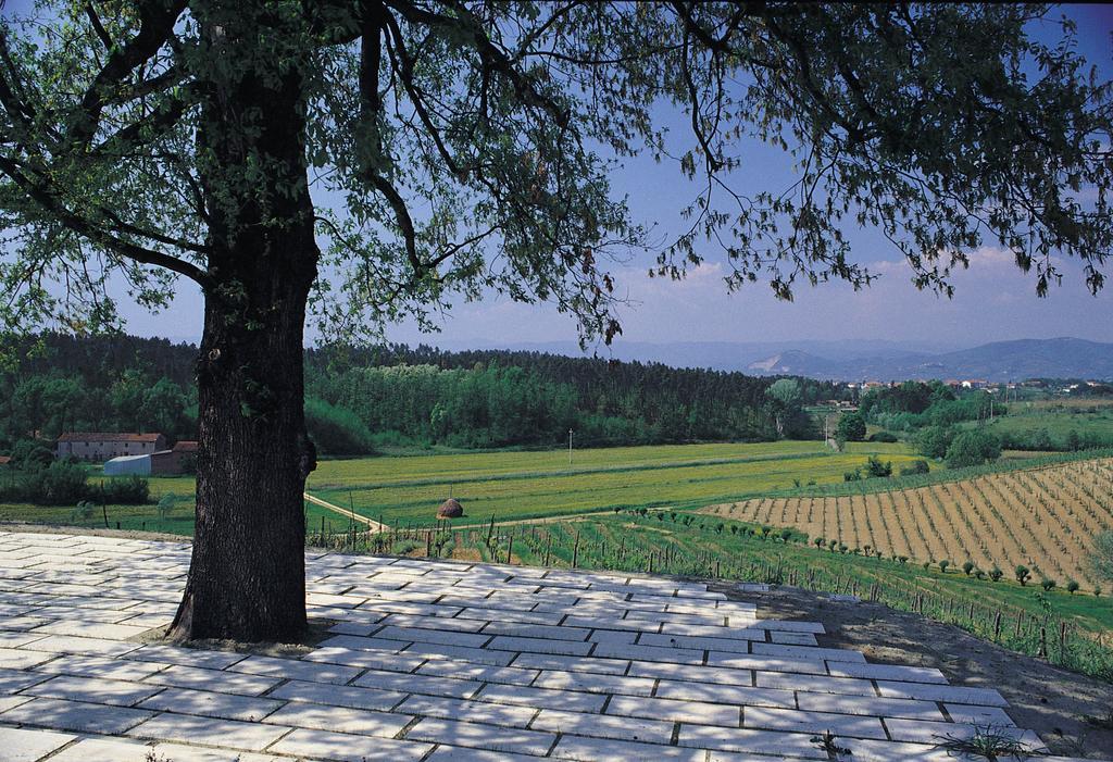Agriturismo Le Due Querce Lazzeretto Dış mekan fotoğraf